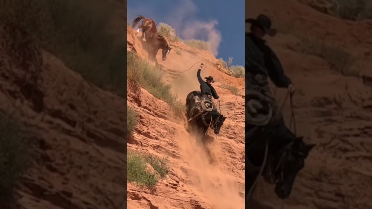 On the move #mustanghorse #horsesoftiktok #cowboy #horse #foryou  (performed by professionals)