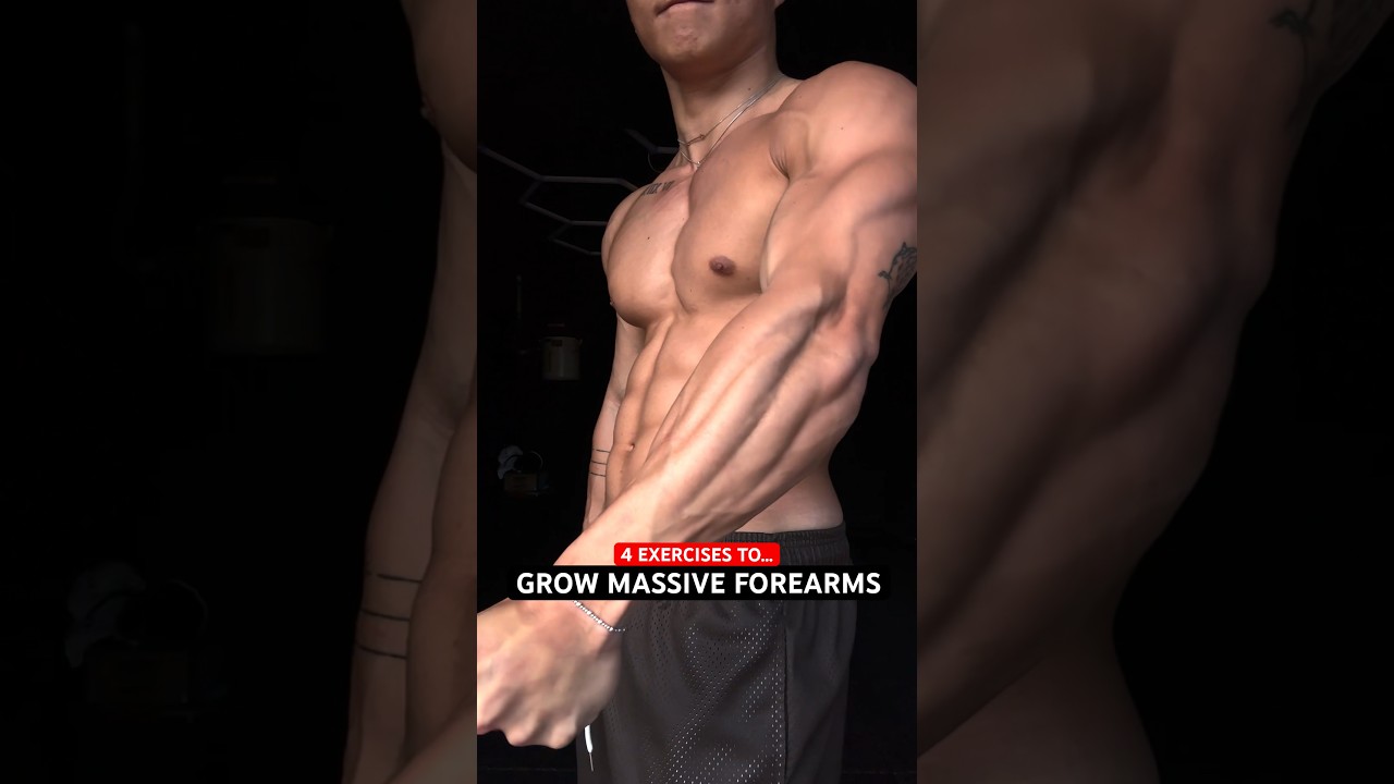 4 exercises to grow massive forearms (dumbbells)