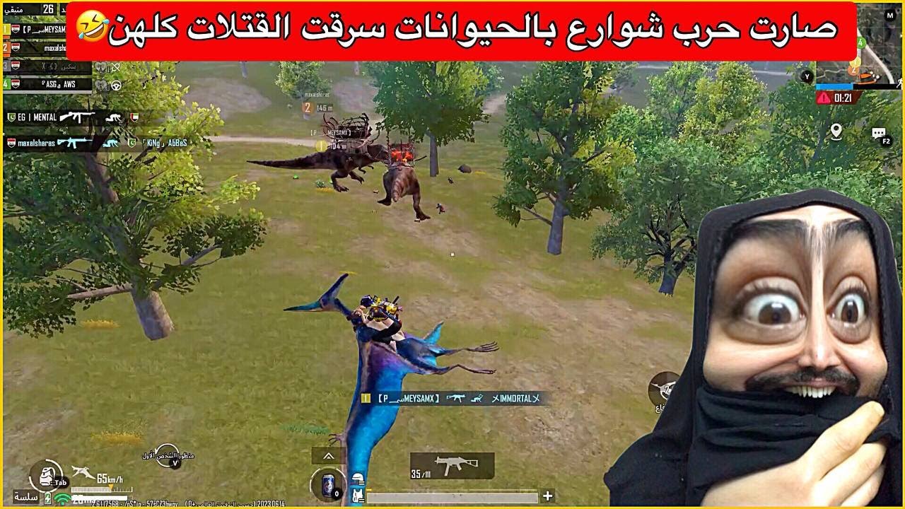 حرب الدينصورات اوسية طبت بنص سكوادين😂صارت حرب طاحنة بالدينصورات🤣ببجي موبايل