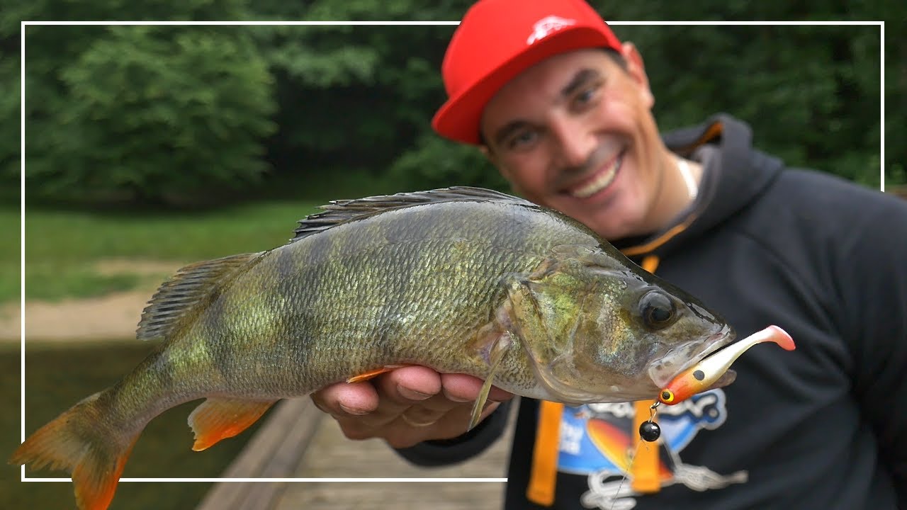 Piesza Przygoda | OKONIE Z BRZEGU NA SPINNING | #Vlog 179