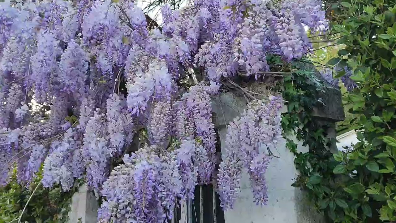 Beautiful Agen France ❤️✝️