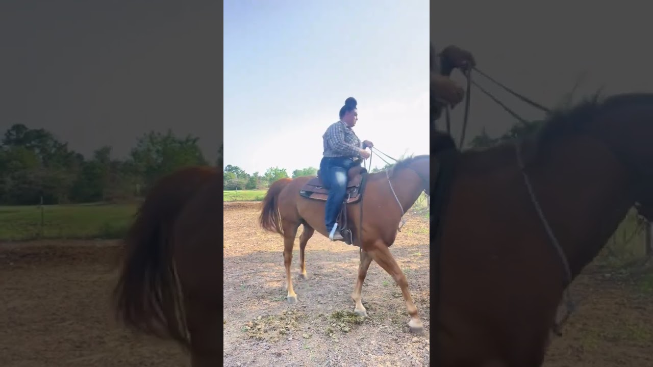Teach your horse to neck rein