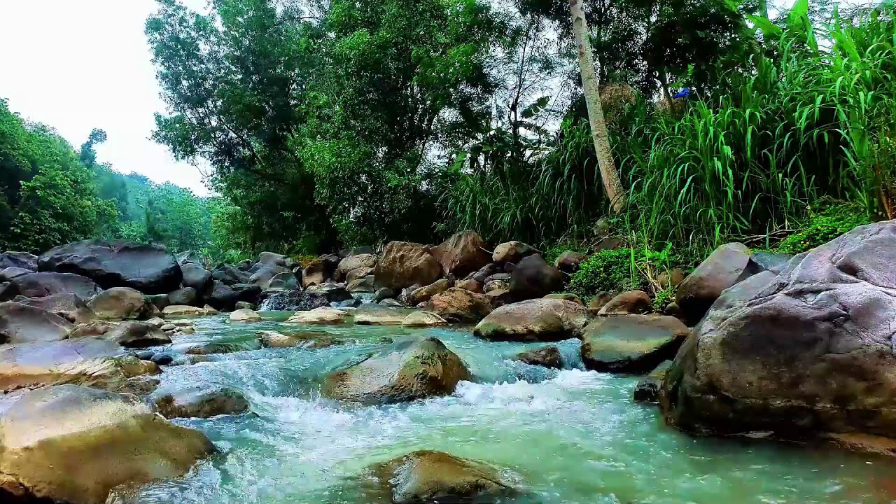 Relaxing Music with Water Sound – River Melodies for Peaceful Sleep