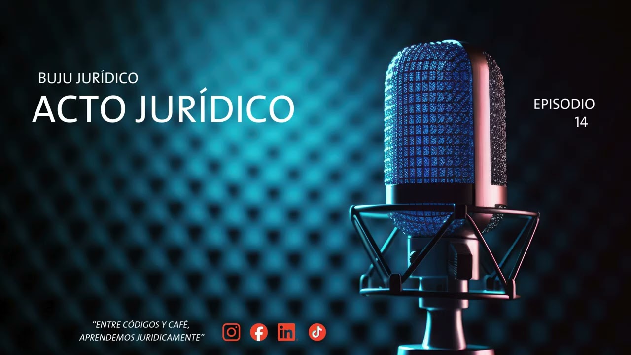 14  La opción concepto, efectos y diferencias con la promesa