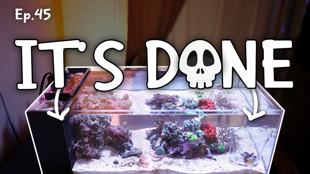 IT HAPPENED IN LESS THAN 2h | Ep.45