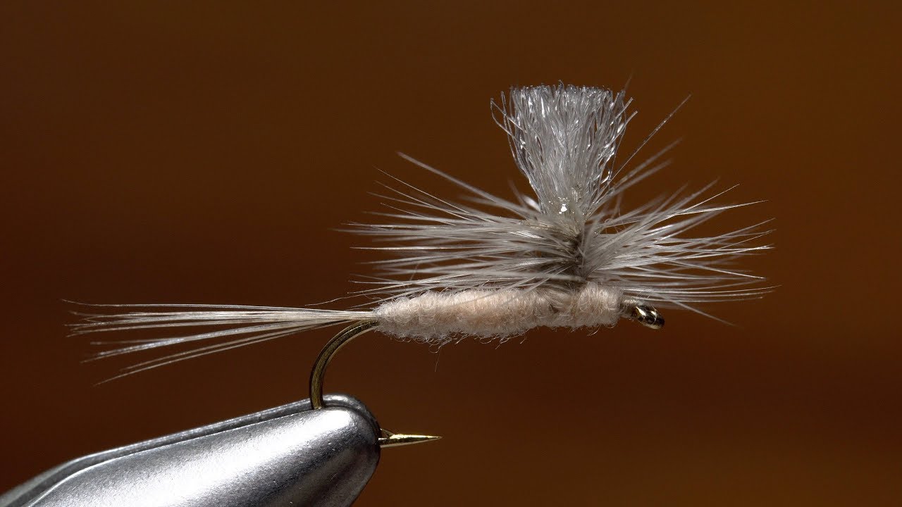 Parachute Hendrickson