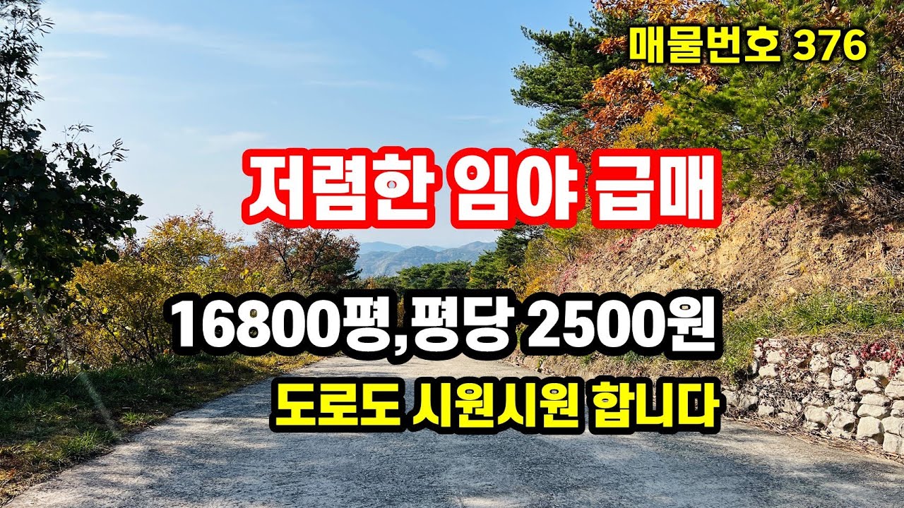임야매매 경북땅, 상속받은 땅 평당2500원에 급매 합니다!! 싼땅 산골 소액땅 급매물 추천~