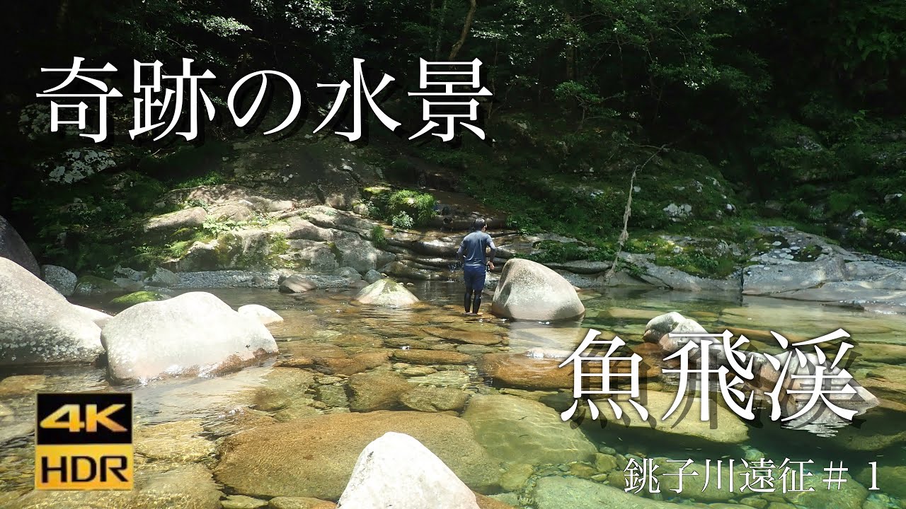 【銚子川】【水中映像】魚飛渓の美しすぎる水中の世界