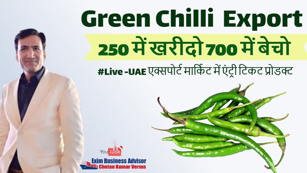 Green Chilli Export To Dubai From India | Green Chilly Dubai Export Price | Dubai Green Chilli Buyer