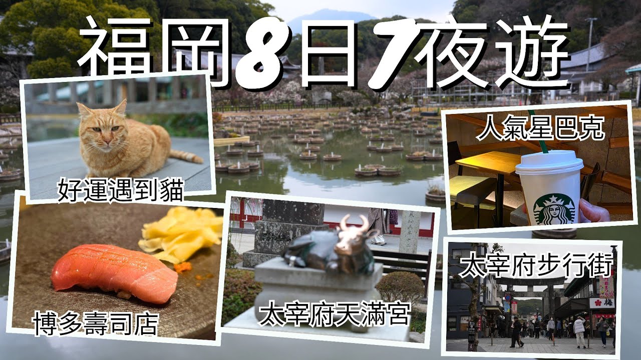 【福岡8日7夜自由行vlog】新手必去景點＋必吃美食全攻略 Day2 太宰府天滿宮，見到可愛小貓，摸一摸神牛好運來，人氣Starbucks飲咖啡｜晚餐博多性價比高壽司店“起承轉結”，來福岡一定要去試！