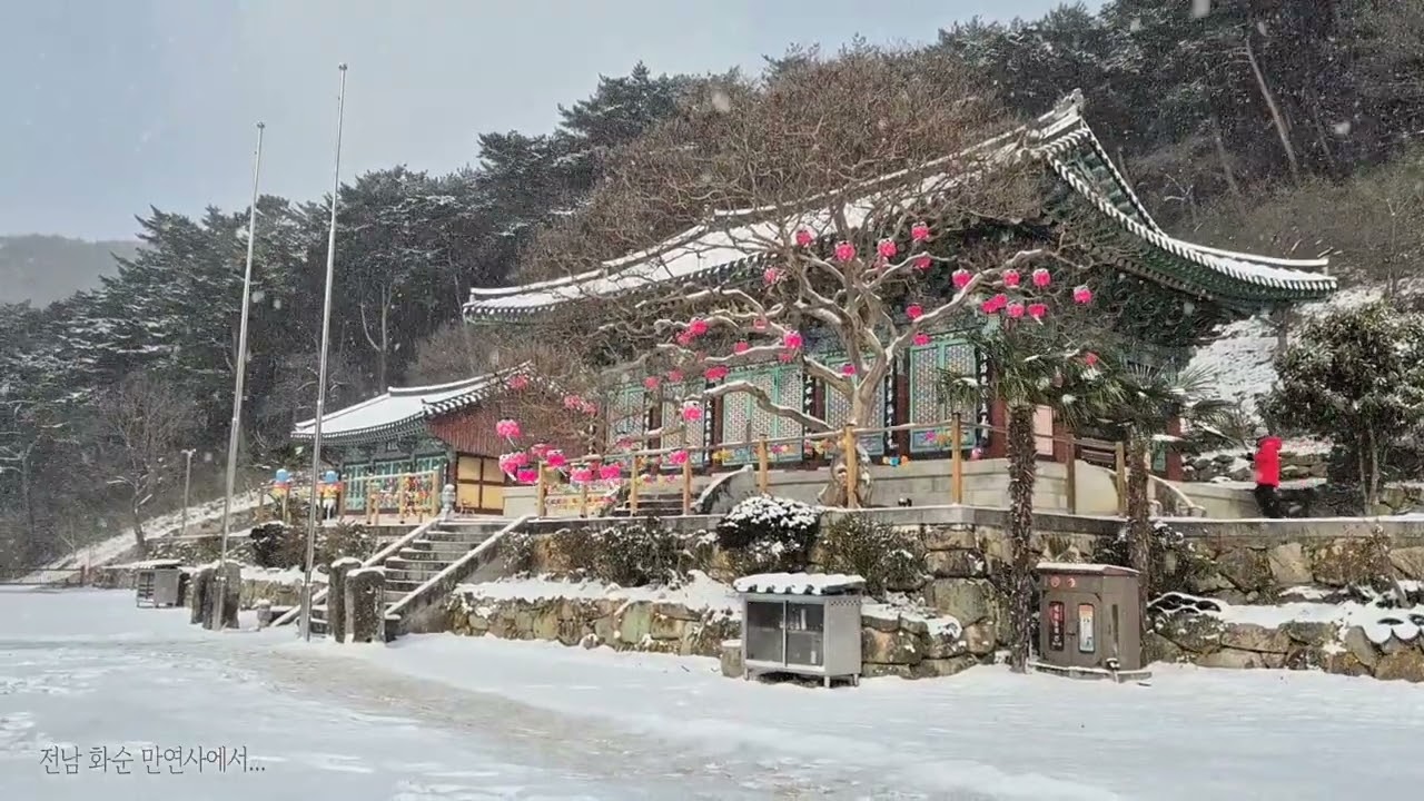 20261208_화순 만연사 설경#화순만연사설경#만연사설경#만연사연등#전남화순#화순여행#사찰설경#화순가볼만한곳#눈내리는사찰#눈내리는만연사#연등설경풍경