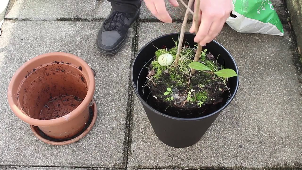 Ikea Ideas - FNISS Trash can to Plant Pot