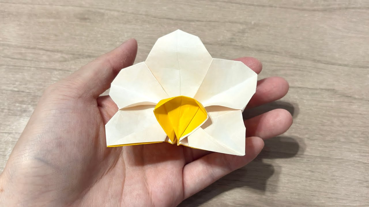 Origami Flower Orchid By Makoto Yamaguchi 折り紙 胡蝶蘭 摺紙 蝴蝶蘭