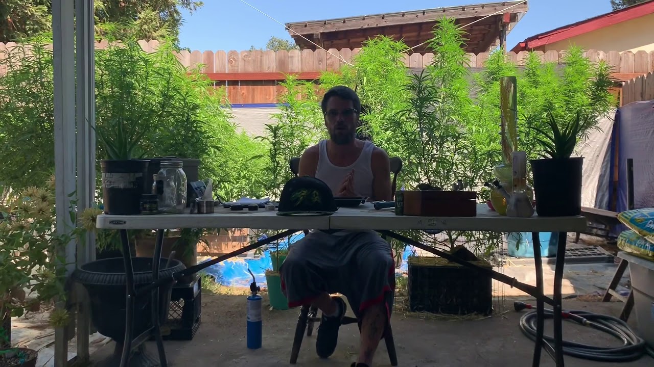 2019 Outdoor Grow 🙏🏻 Much Love My Fellow Growers 🙏🏼