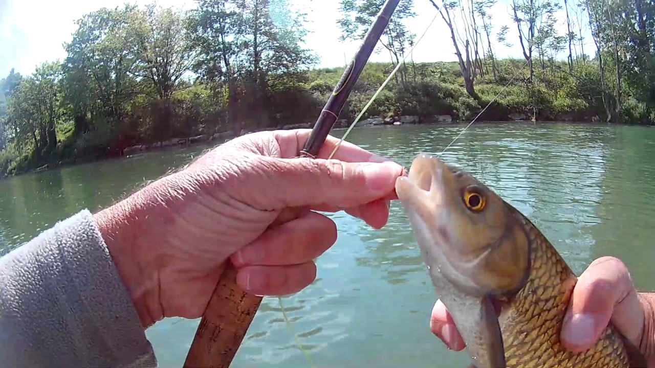 Dry fly and nimph for chubb