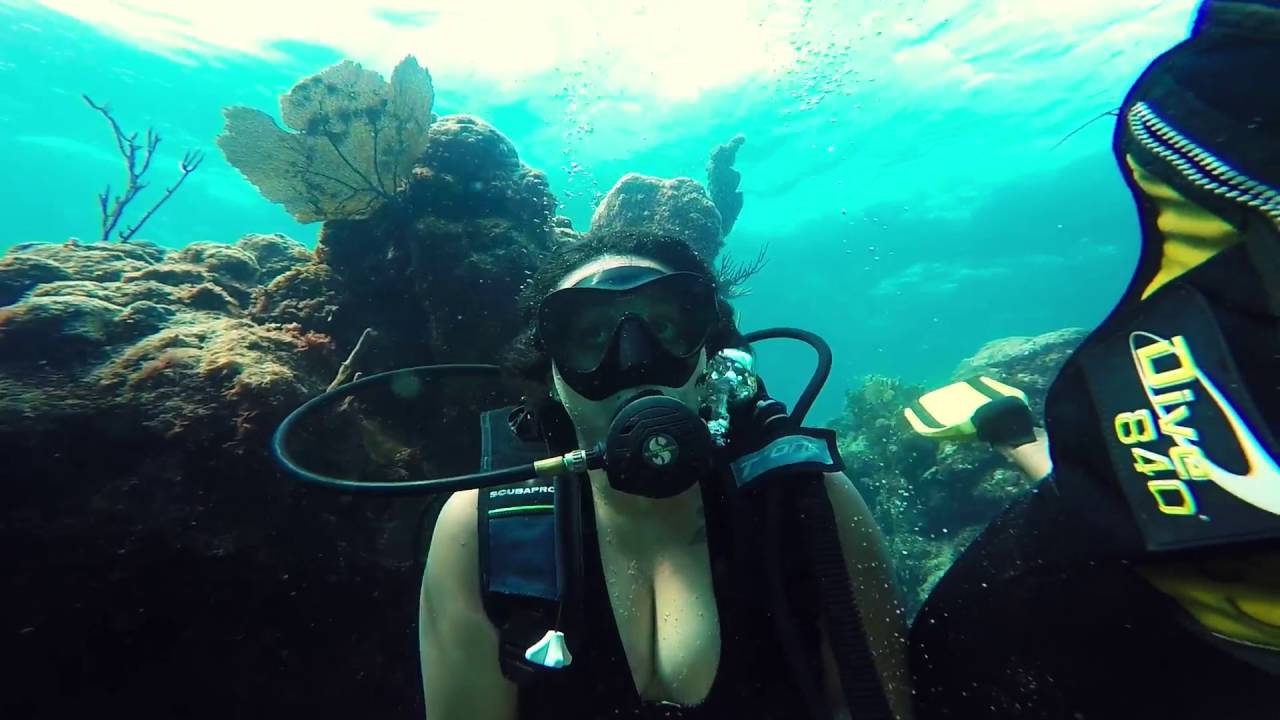buceo en cuba - Playa coral - Varadero