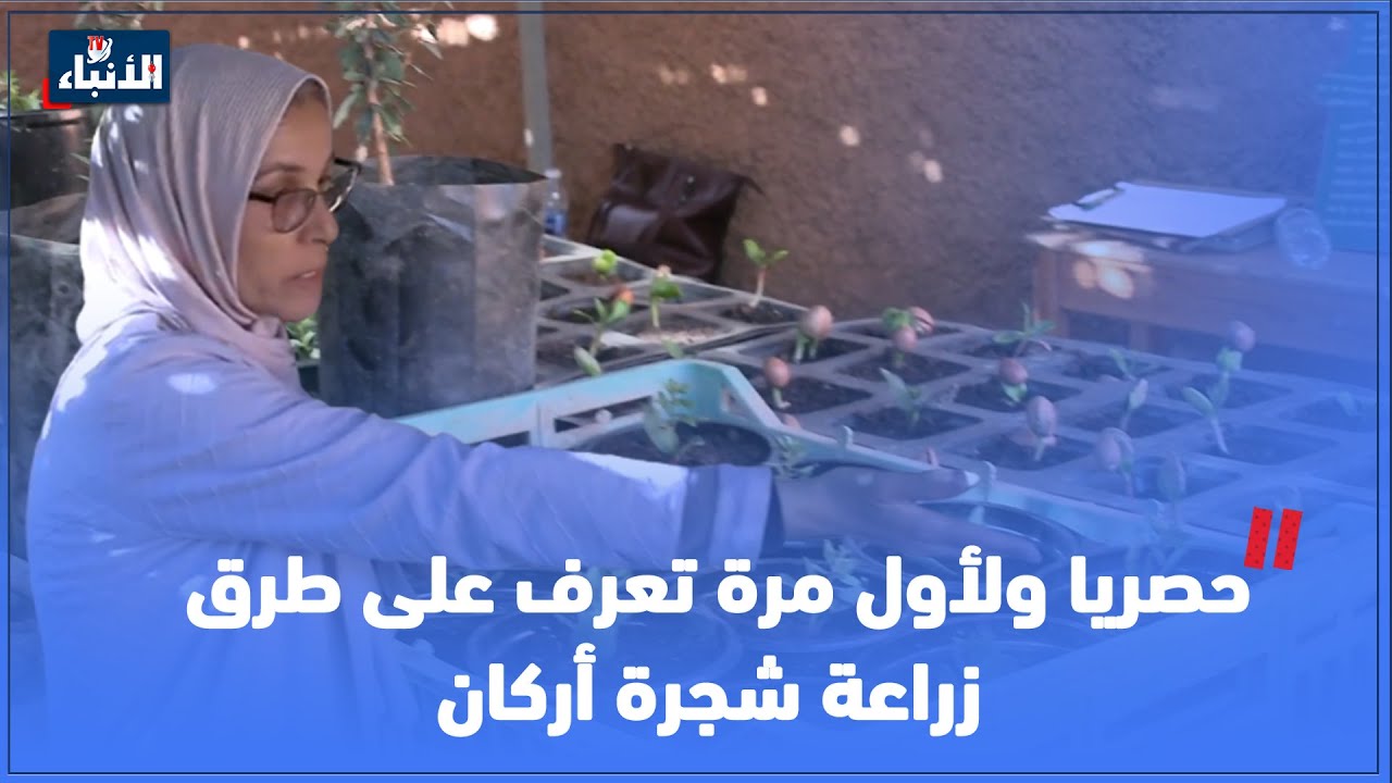 حصريا ولأول مرة تعرف على طرق زراعة شجرة أركان