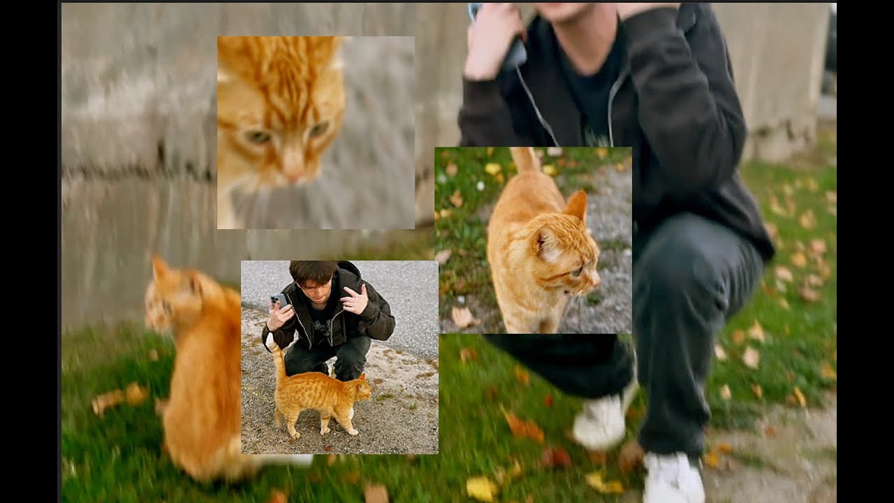 Dirtyindesigner - annoying orange (official video)