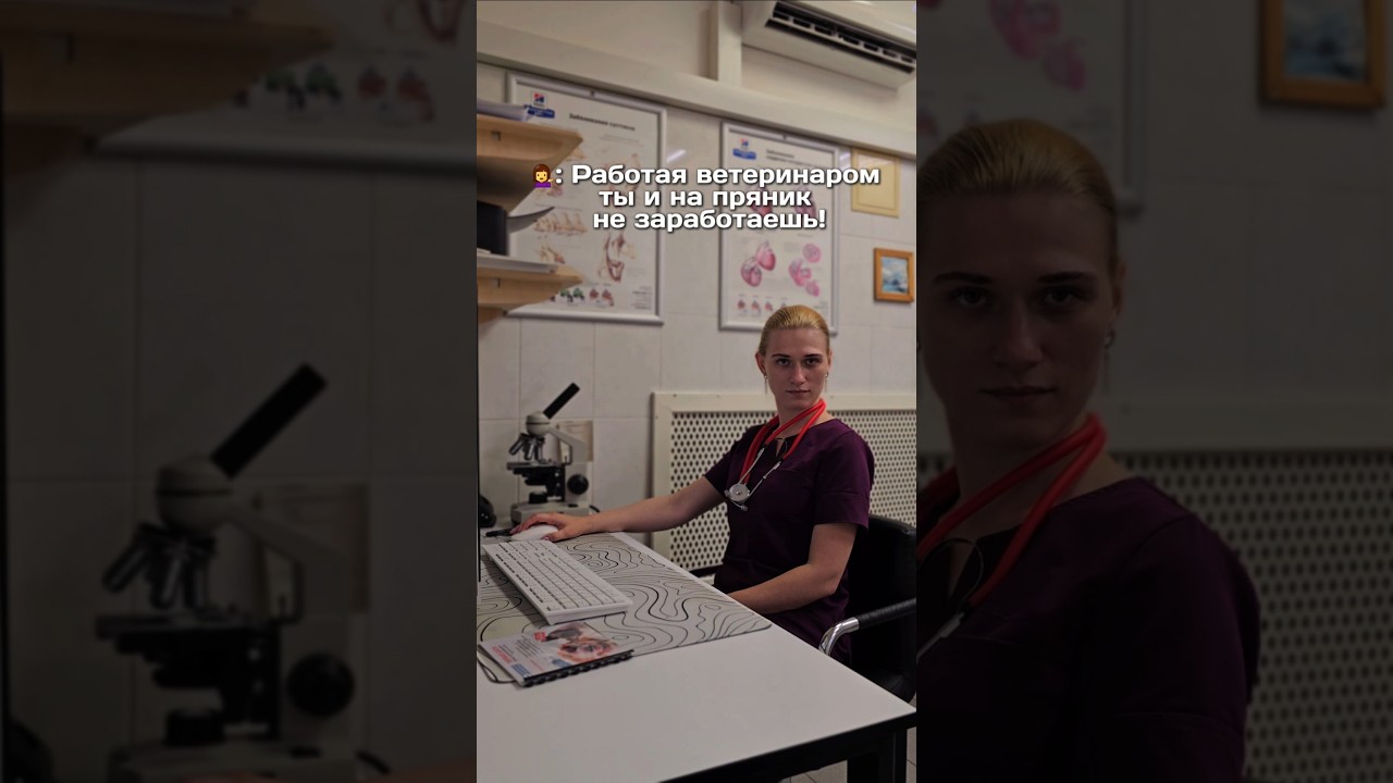 Вся правда о зарплате ветеринаров. Ветеринарный юмор #ветеринар #зарплата #животные #кошка #пряник