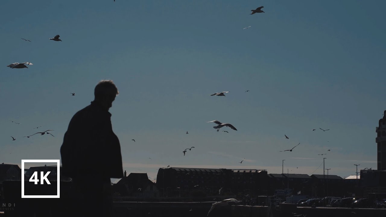 Calm seaside resort, Deauville | C&ocirc;te Fleurie | France | 4K Binaural | Cinematic