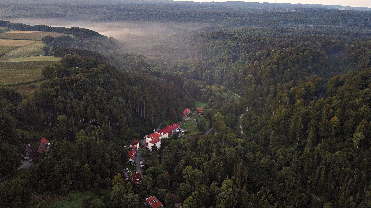 Impressionen Altdorfer Wald