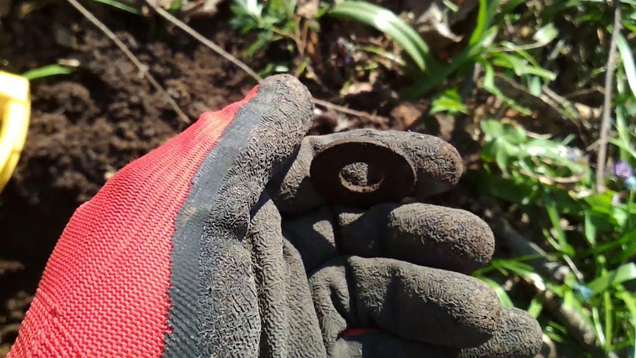 Нашел знак отличия и монеты 19 века