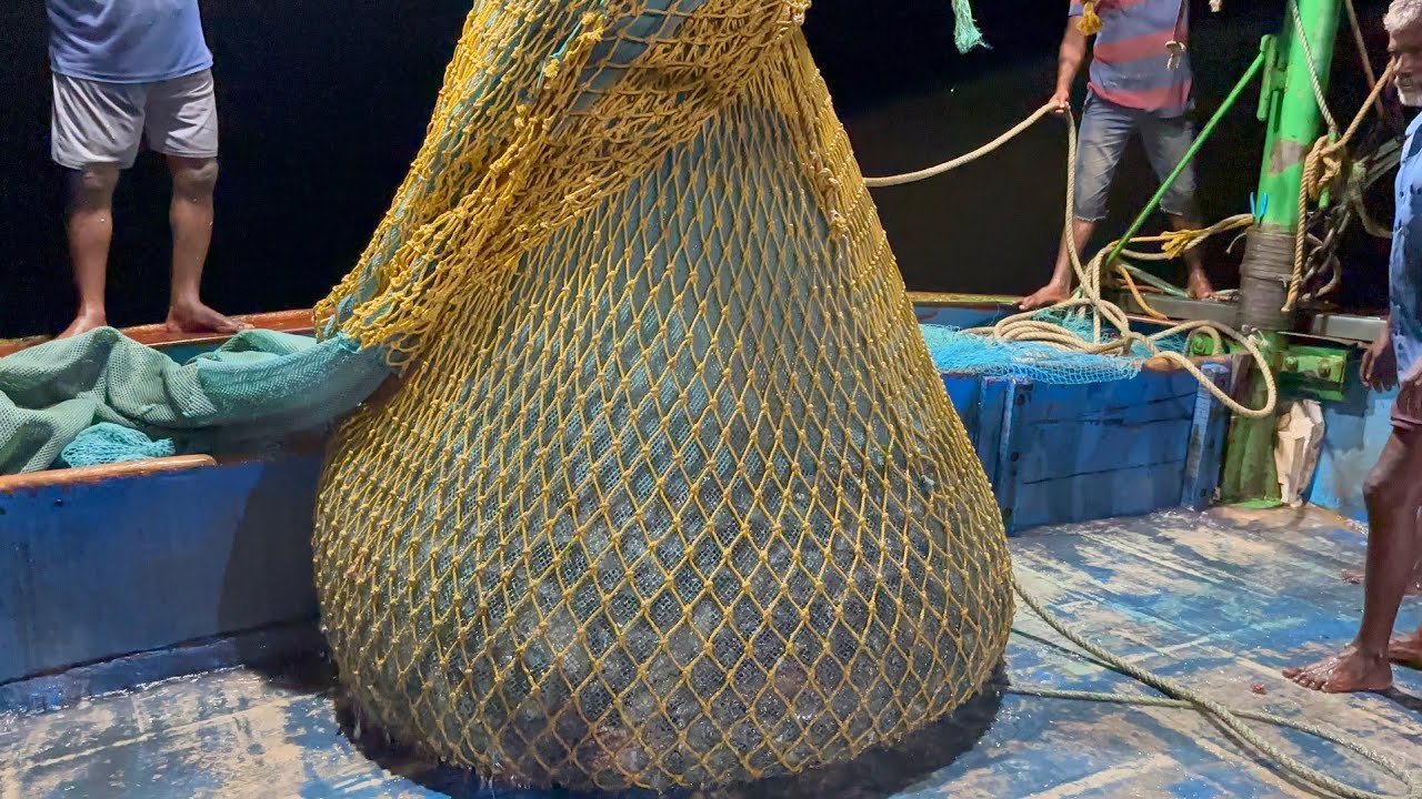 Ohh❗Night Time 💢 Indian Fishing Adventure 🤩 Trawler Net Fishing 