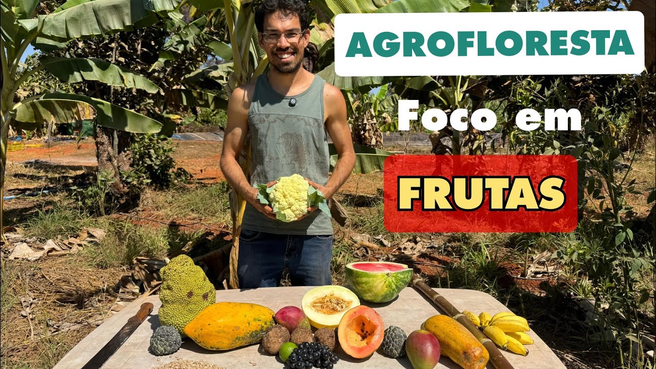 Como plantar uma agrofloresta com foco em frutas!!! com produção aos 3 meses!!