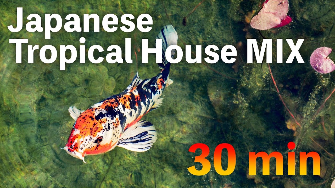 Japanese Tropical House Mix | 和楽器 × Chill & Upbeat 30min