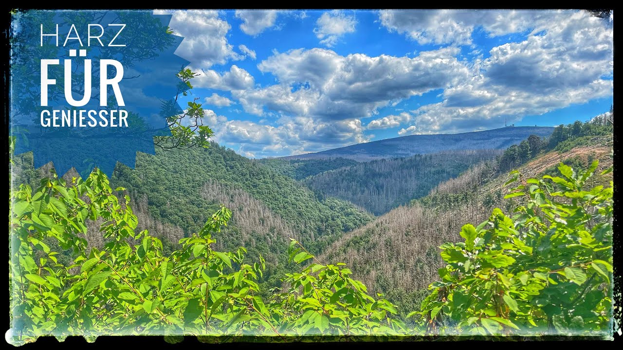 TOP Harz Tour - Das Ilsetal mit Froschfelsen und Ilsestein - inkl. GPS Daten