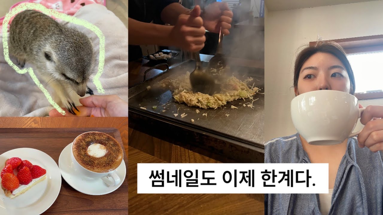 방학vlog 먹킷리스트 뿌시기, 가족들 두쫀쿠 첫반응 (여행 다녀오니 유행 지남)