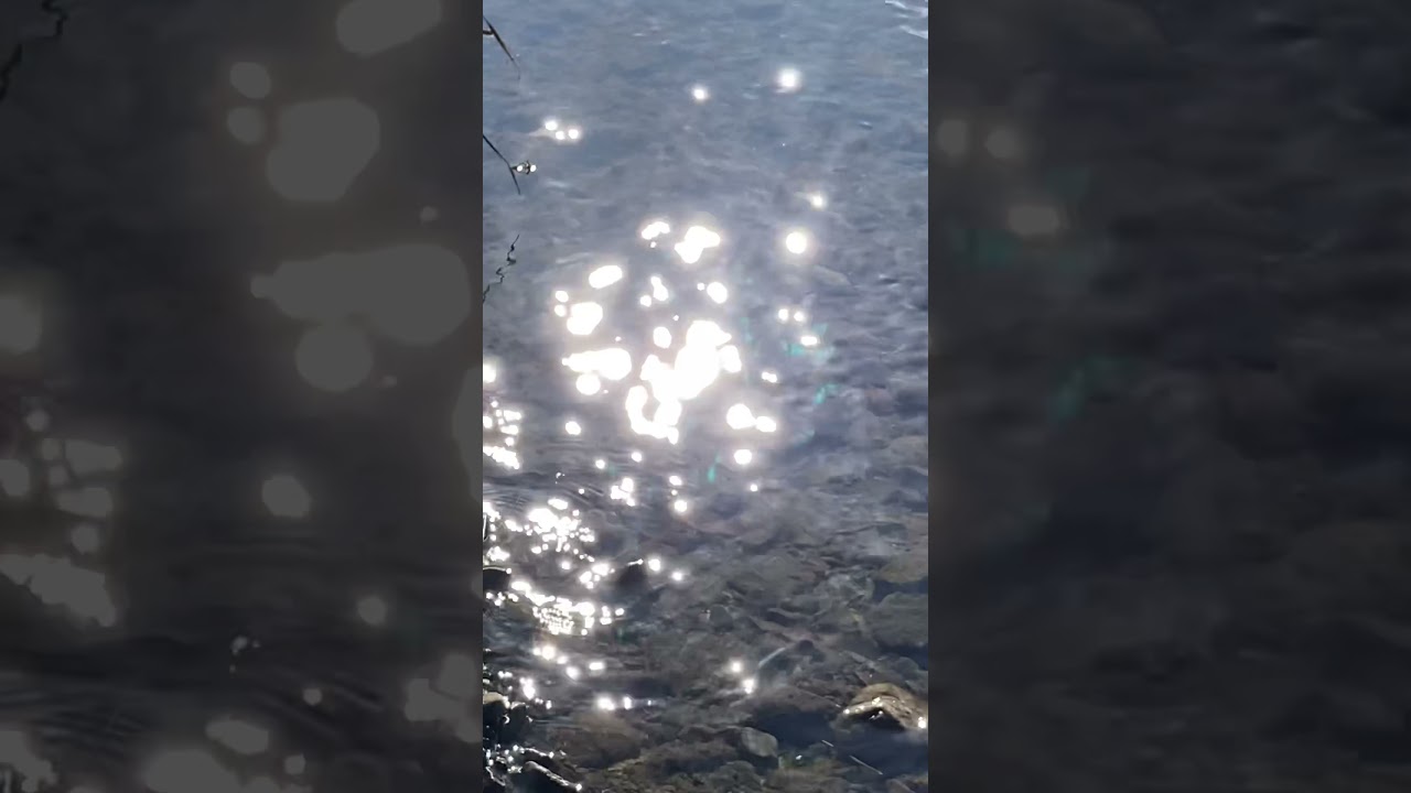 光の妖精たちのダンス🧚&zwj;♀️✨