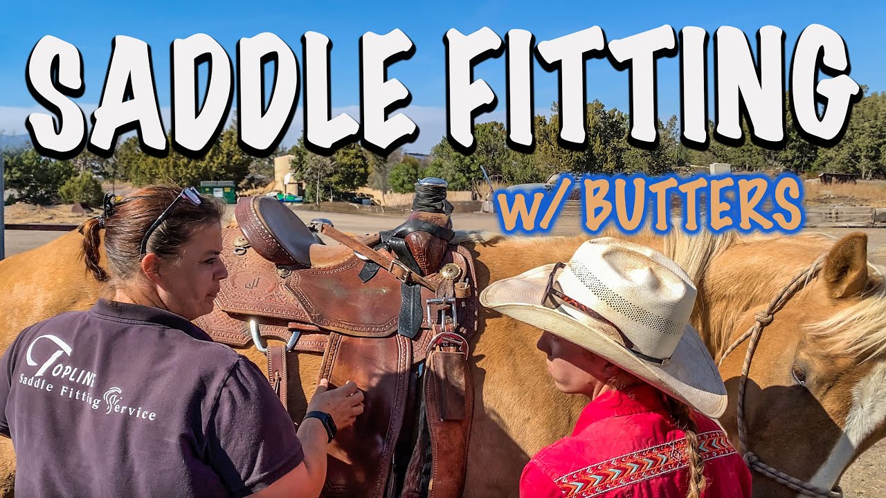 HELP FIND A SADDLE THAT FITS MY HORSE