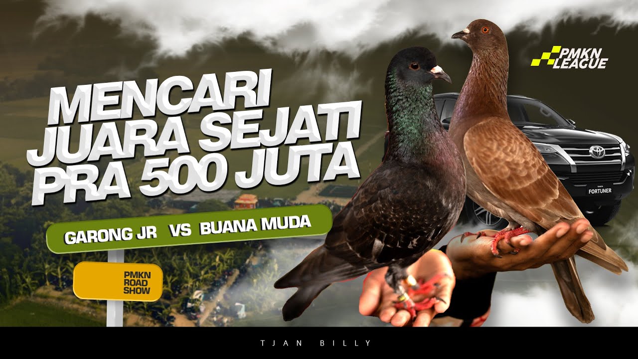FINAL PEKALONGAN MEMANAS !! KEJUARAAN MERPATI BERHADIAH MOBIL DI LAPAK LEGOK CHILIE PMKN ROADSHOW