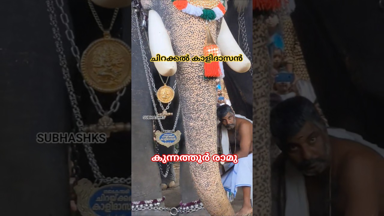 Chirakkal Kalidasan|Kunnathoor Ramu #chirakkalkalidasan #Kunnathur ramu #deepavali #deepawali #aana