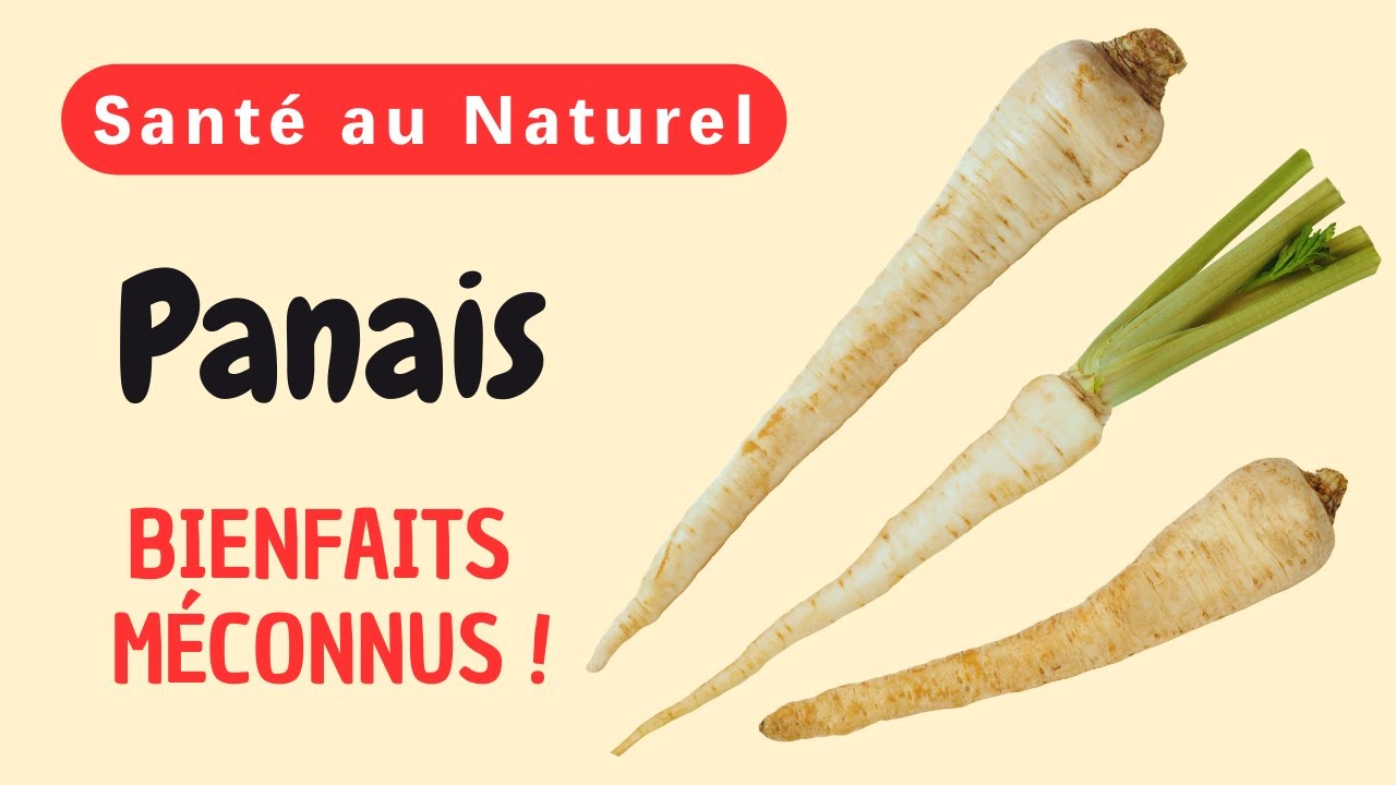 PANAIS : Quels Avantages Surprenants et Puissants Pouvez-Vous Découvrir pour une Vie Saine ?