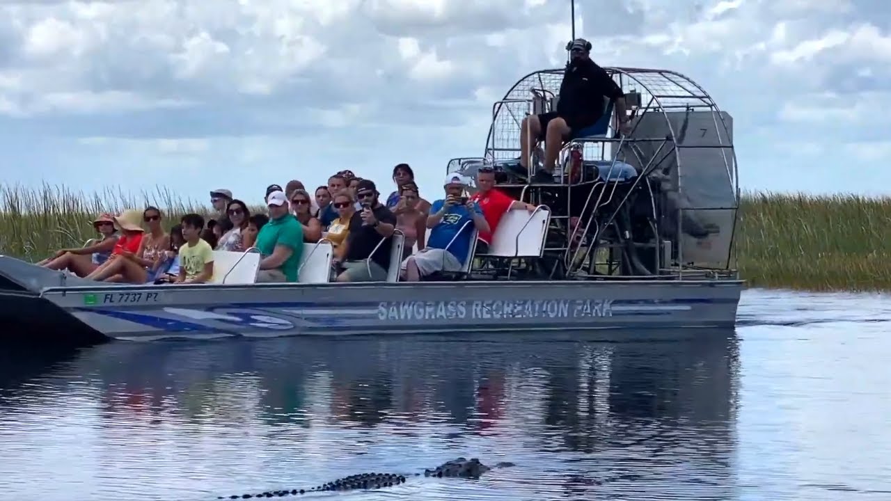 The Best&nbsp;Florida Everglades National Park Airboat Ride