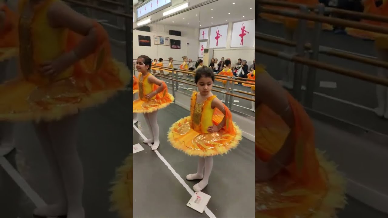 Dilek Bale Ataşehir Hazırlık 2 sınıfı Kanaryalar aile sunumu
