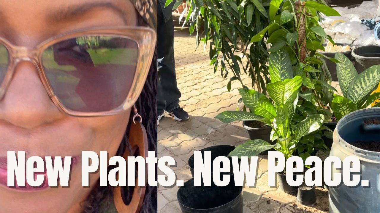 Plant Shopping in Hurghada🪴 Finishing My Bedroom & Facing My Plant Fear
