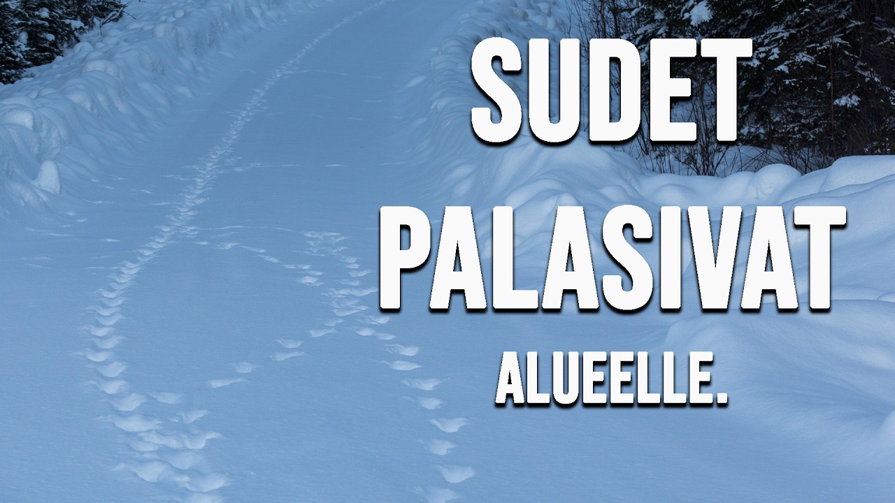 SUDET PALASIVAT. Pohdiskeluja susien saalistuksesta.