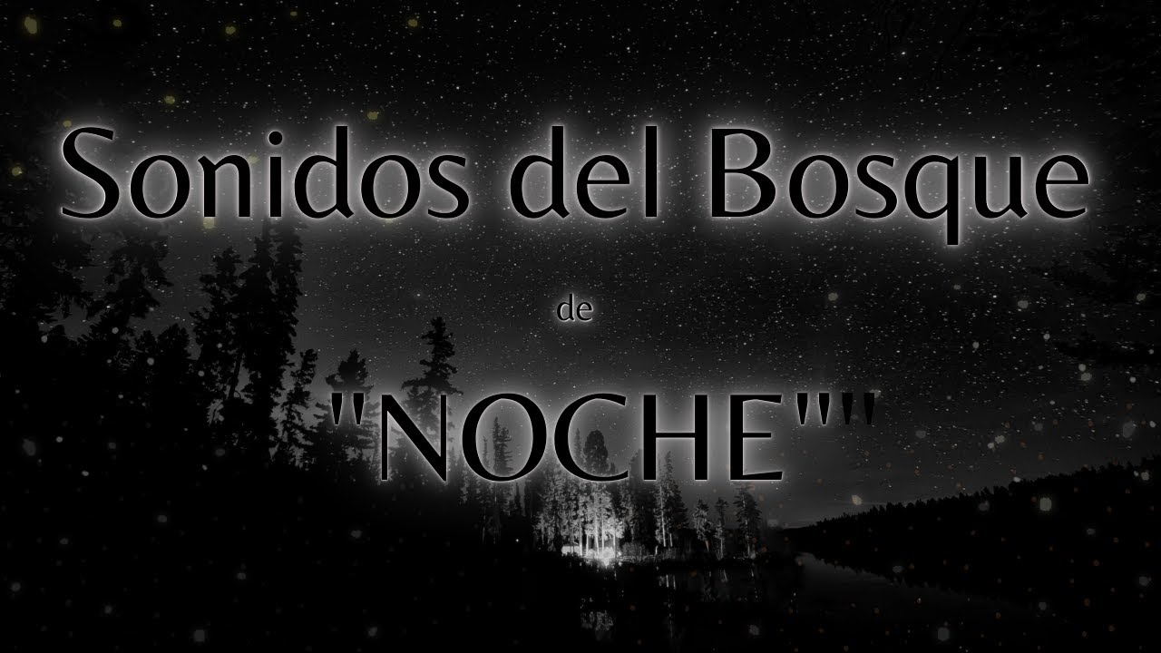 SONIDOS DEL BOSQUE | PANTALLA NEGRA | SONIDOS RELAJANTES PARA DORMIR | RELAJATE |