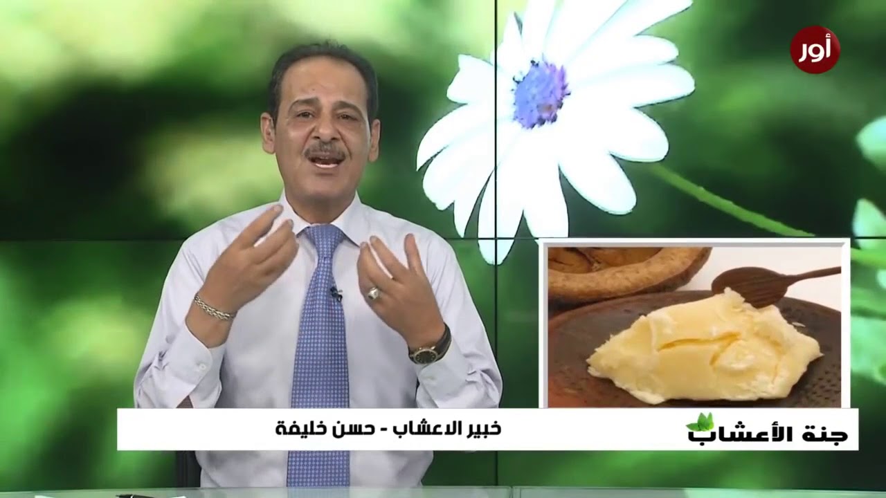 فوائد زبدة الشيا وخصائصها المفيدة لتغذية البشرة والشعر مع خبير الاعشاب حسن خليفة - جنة الاعشاب