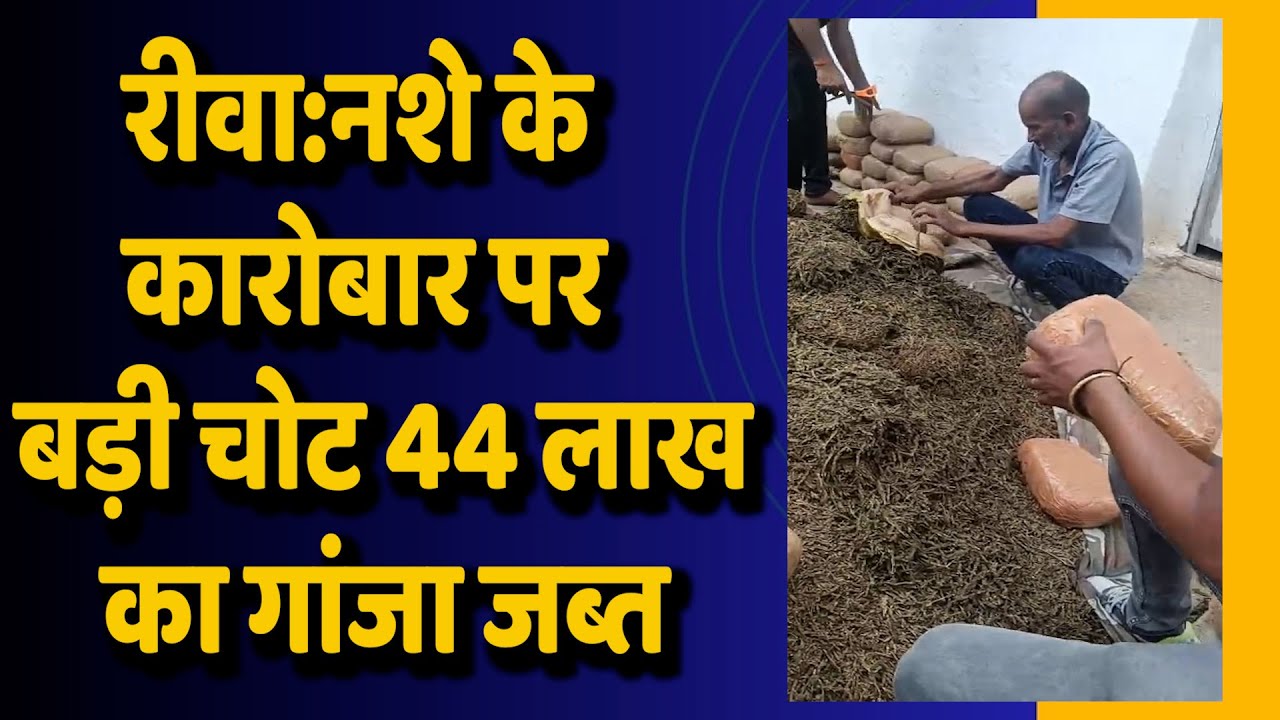 रीवा:मनगवां में 3 क्विंटल गांजा जब्त, 50 लाख का माल पुलिस की पकड़ में
