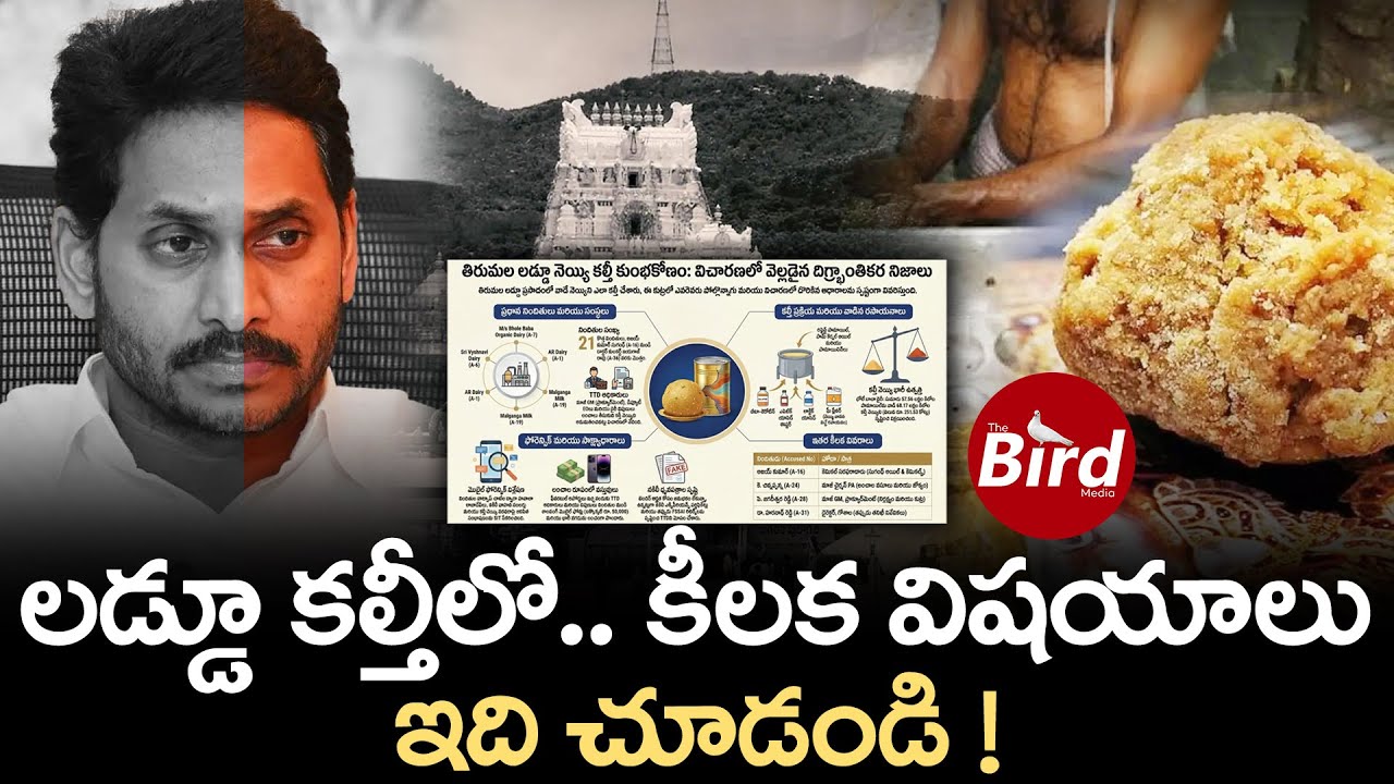 లడ్డూ కల్తీలో.. కీలక విషయాలు.. ఇది చూడండి ! | Shocking facts On TTD Laddu Ghee Adulteration |