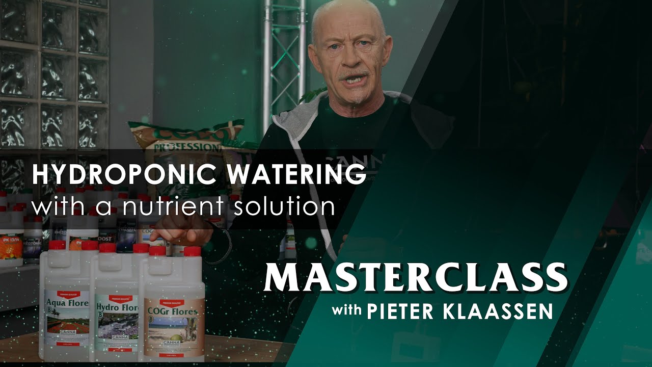 CANNA Masterclass – Hydroponic Watering