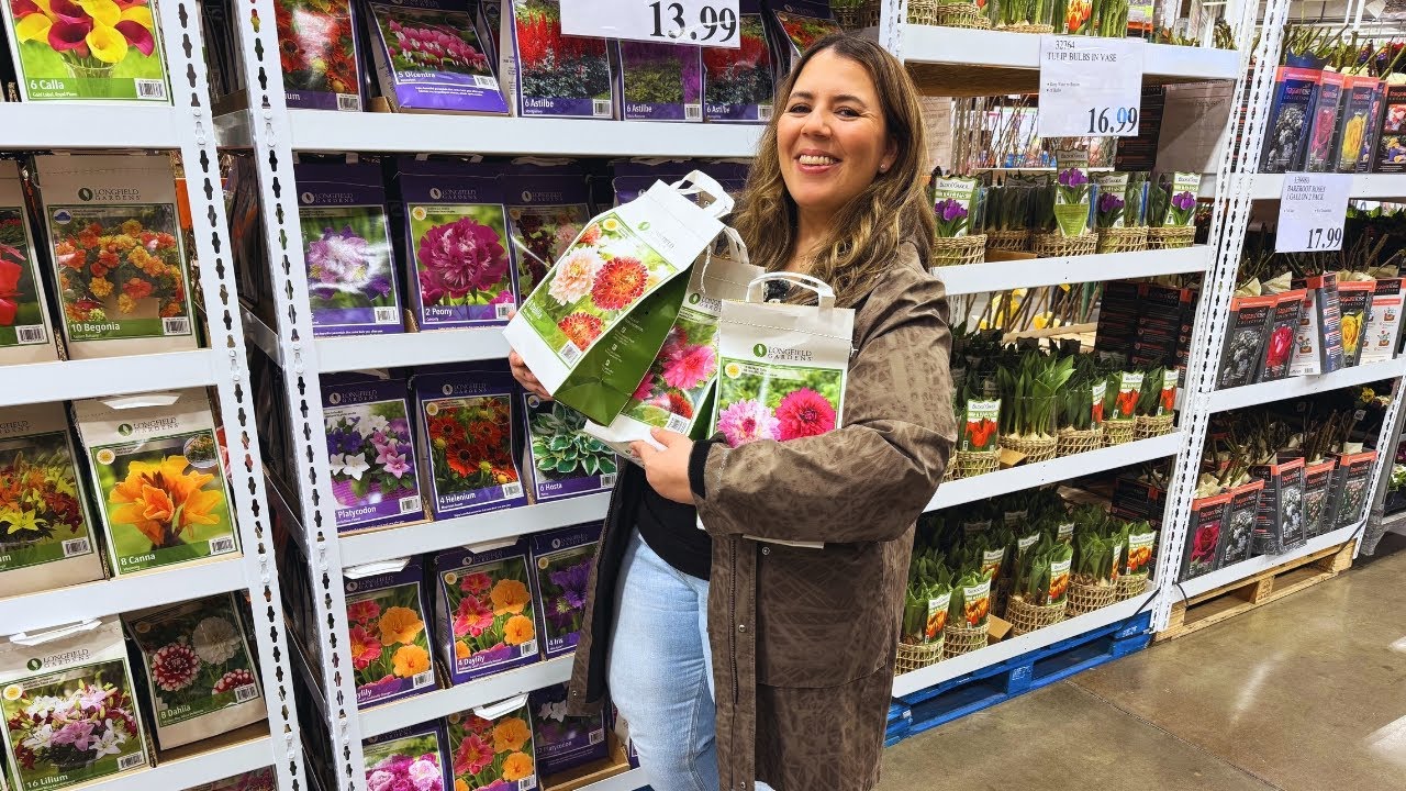 Shopping For Dahlias and Plants at Costco?  Watch This BEFORE You Buy! 🌸