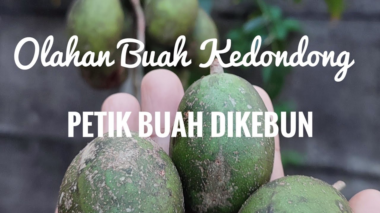 Olahan buah Kedondong