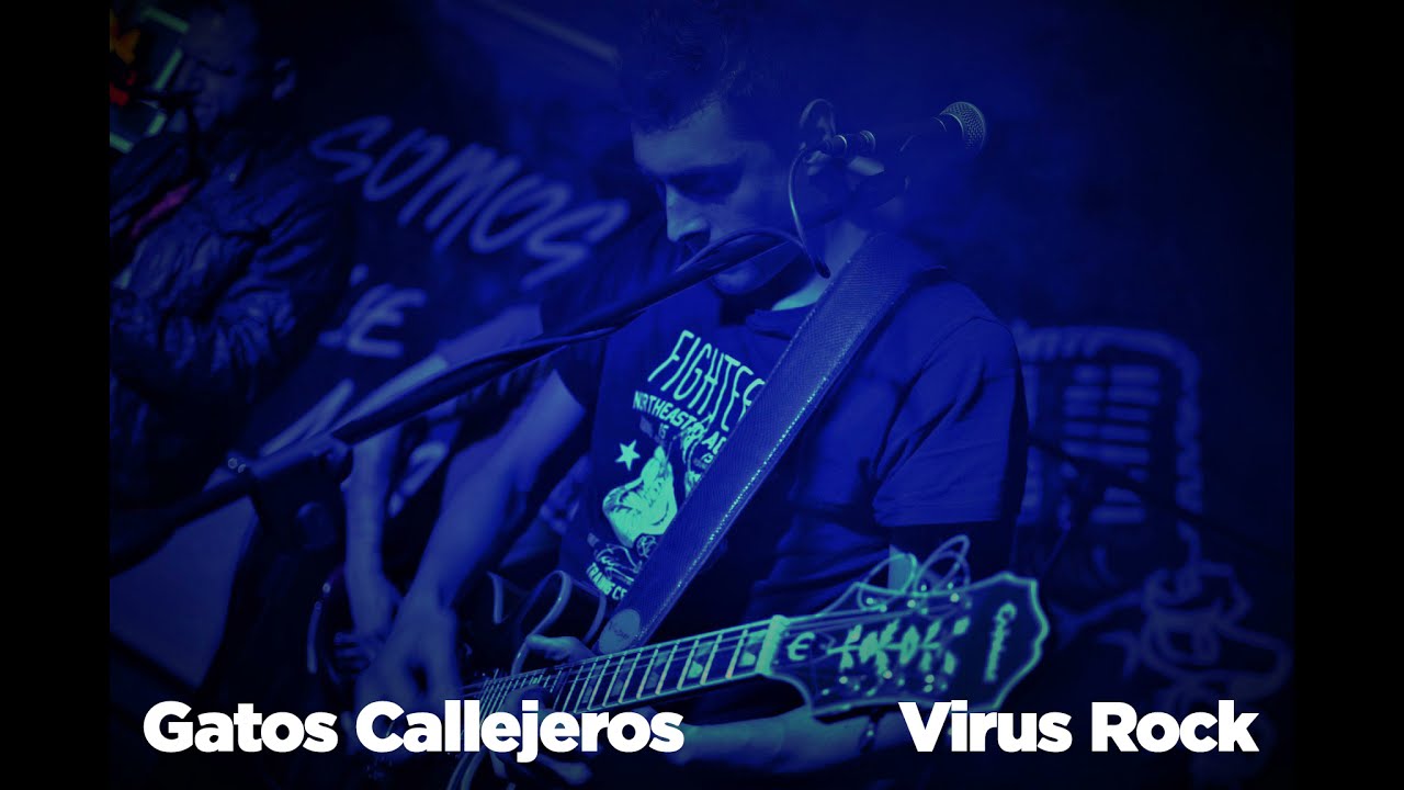 Gatos Callejeros | Virus Rock