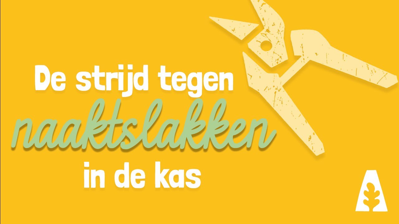 Stadstuinieren - Naaktslakken bestrijden #moestuin