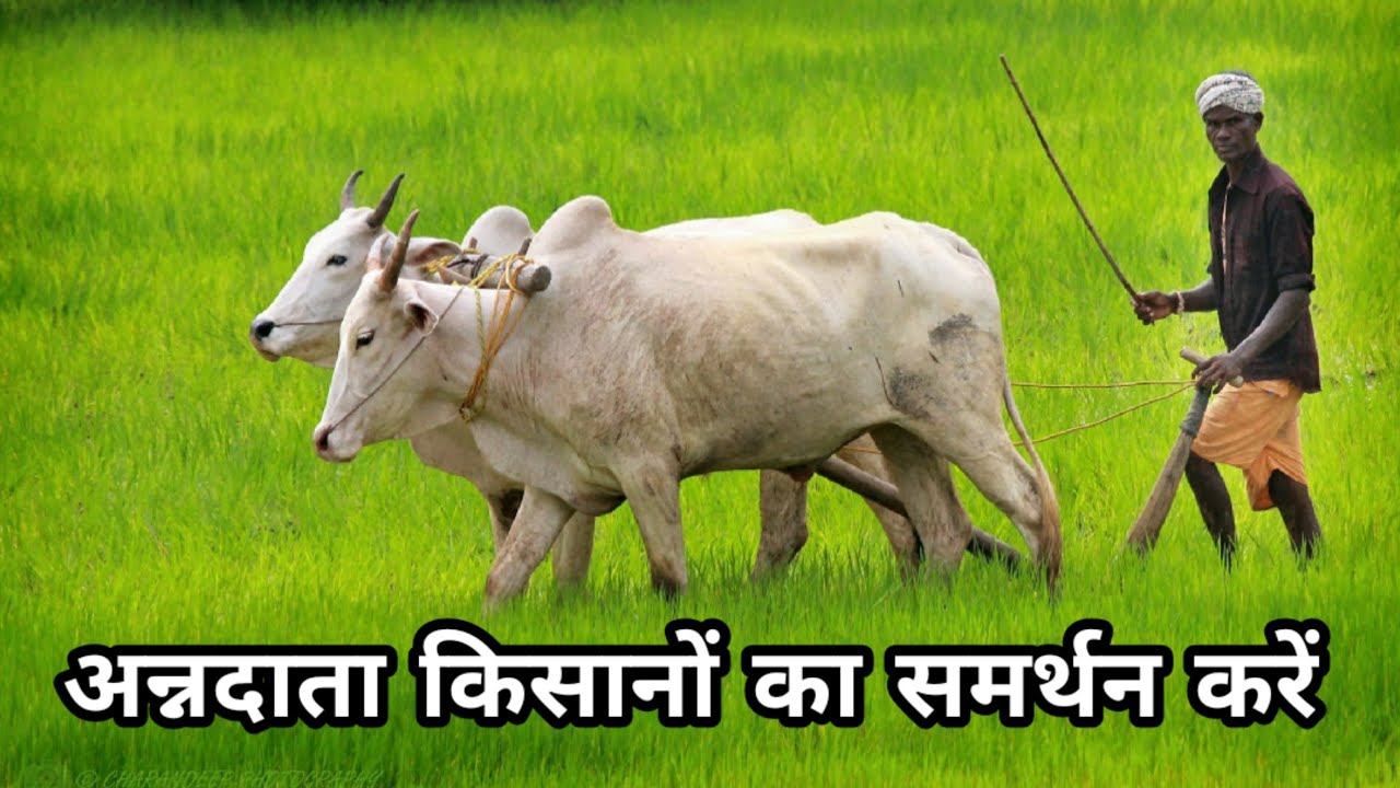 अन्नदाता किसानों का समर्थन करें | Support the Farmers ||